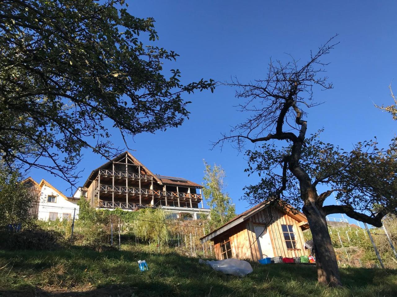 Atelier 67 Bed & Breakfast Obersaxen Eksteriør bilde